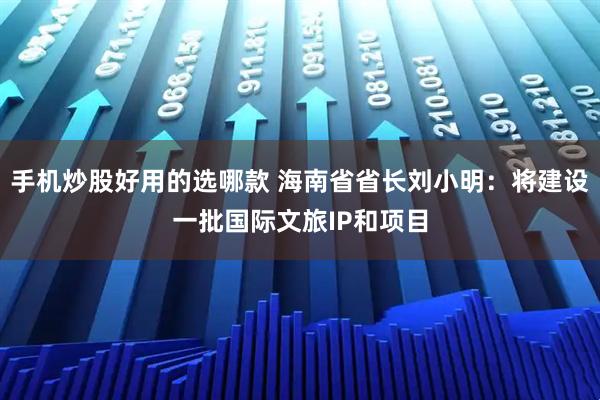 手机炒股好用的选哪款 海南省省长刘小明：将建设一批国际文旅IP和项目