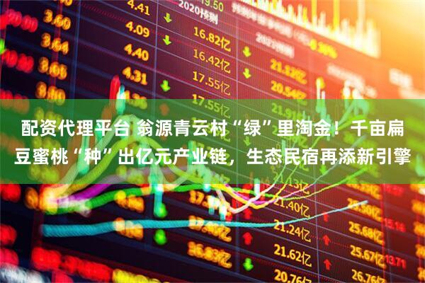 配资代理平台 翁源青云村“绿”里淘金！千亩扁豆蜜桃“种”出亿元产业链，生态民宿再添新引擎