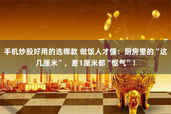 手机炒股好用的选哪款 做饭人才懂：厨房里的“这几厘米”，差1厘米都“怄气”！